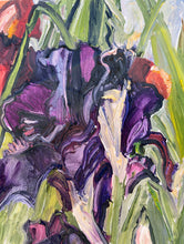 Load image into Gallery viewer, Black Iris