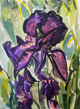 Load image into Gallery viewer, Black Iris in the Sunshine