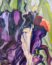 Load image into Gallery viewer, Black Iris