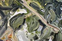 Load image into Gallery viewer, Ripe Pears