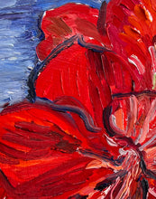 Load image into Gallery viewer, Amaryllis