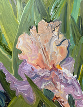 Load image into Gallery viewer, Last Iris