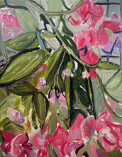 Load image into Gallery viewer, Heritage Sweet Peas