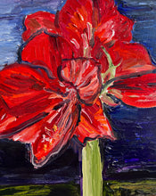 Load image into Gallery viewer, Amaryllis