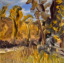 Load image into Gallery viewer, Shields River Cottonwoods