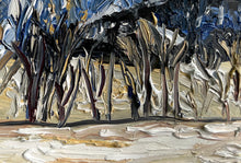 Load image into Gallery viewer, Where I Walk My Dogs