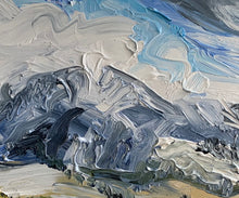 Load image into Gallery viewer, Sandhills!