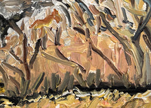Load image into Gallery viewer, Patch of Snow