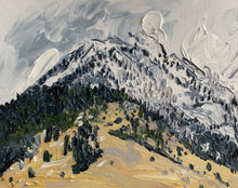 Load image into Gallery viewer, Snow Moving In