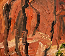 Load image into Gallery viewer, Red Rocks in Long Canyon