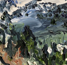 Load image into Gallery viewer, Shell Mountain