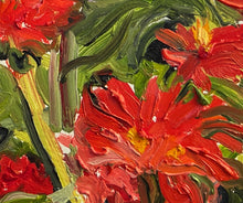 Load image into Gallery viewer, Raised Bed Zinnias