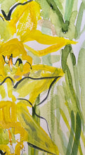 Load image into Gallery viewer, Daffodils!!

