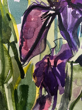 Load image into Gallery viewer, Black Iris in the Sunshine
