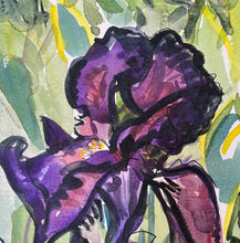 Load image into Gallery viewer, Black Iris in the Sunshine
