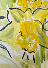 Load image into Gallery viewer, Daffodils!!
