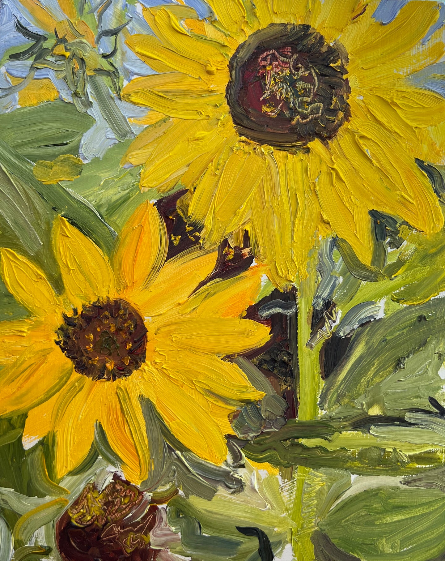 Lincoln School Sunflowers