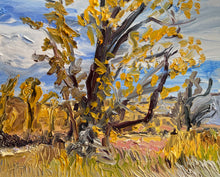 Load image into Gallery viewer, Shields River Cottonwoods
